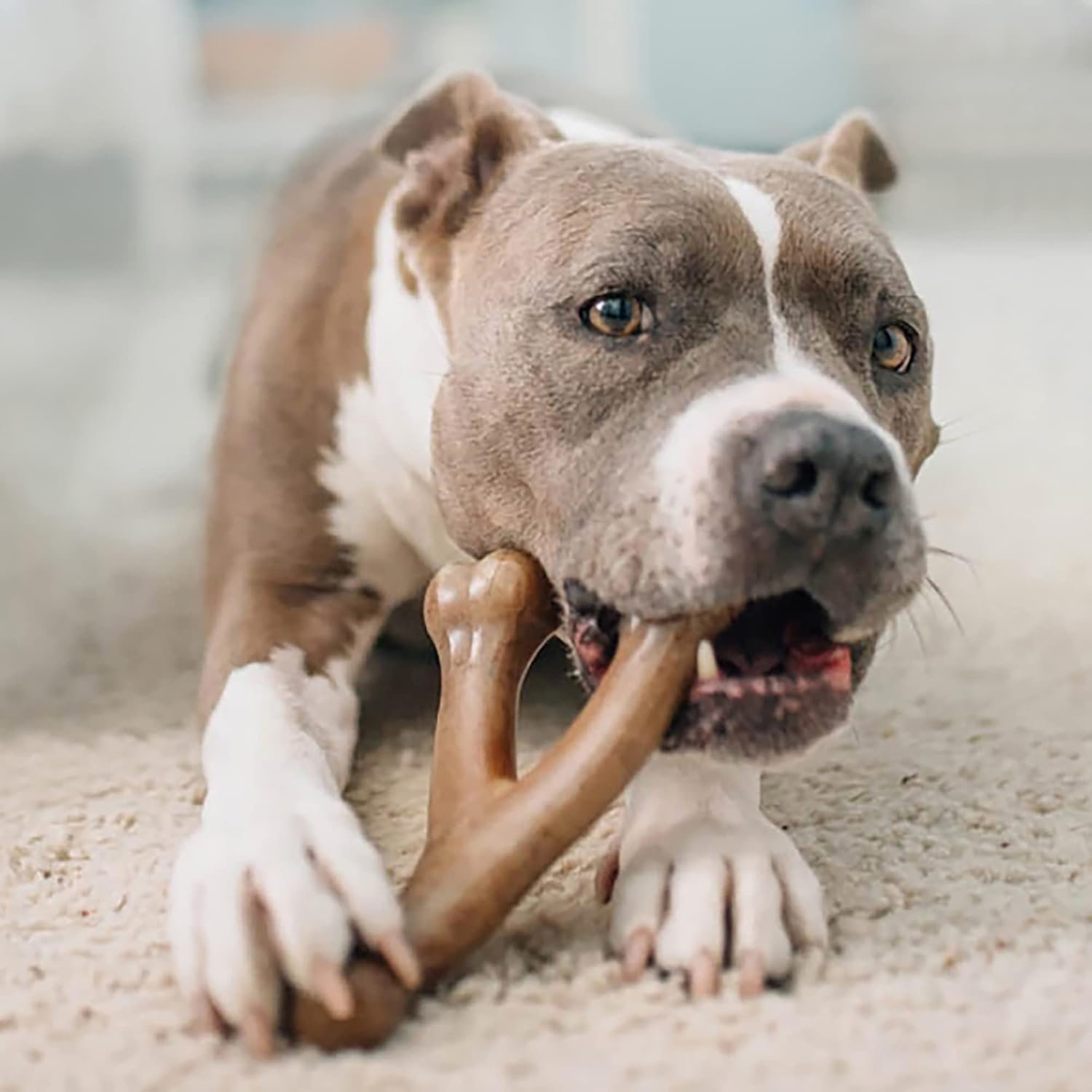 Benebone 2-Pack Indestructible Fishbone/Wishbone Dog Chew Toys, Long Lasting Tough Boredom Breaker for Dogs - Image 3
