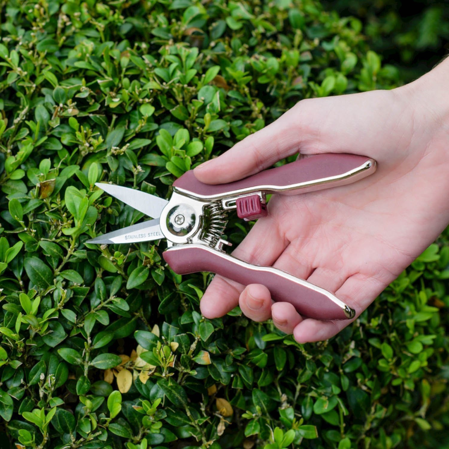 Kent & Stowe Garden Life Pruning Snips - Image 2